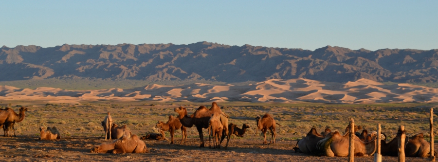 Treasures of Gobi & Khangai.